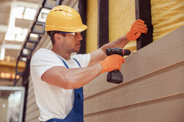 Affordable Siding Repair and Maintenance Services in Rolla, MO